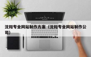 武义县沈阳专业网站制作方案（沈阳专业网站制作公司）